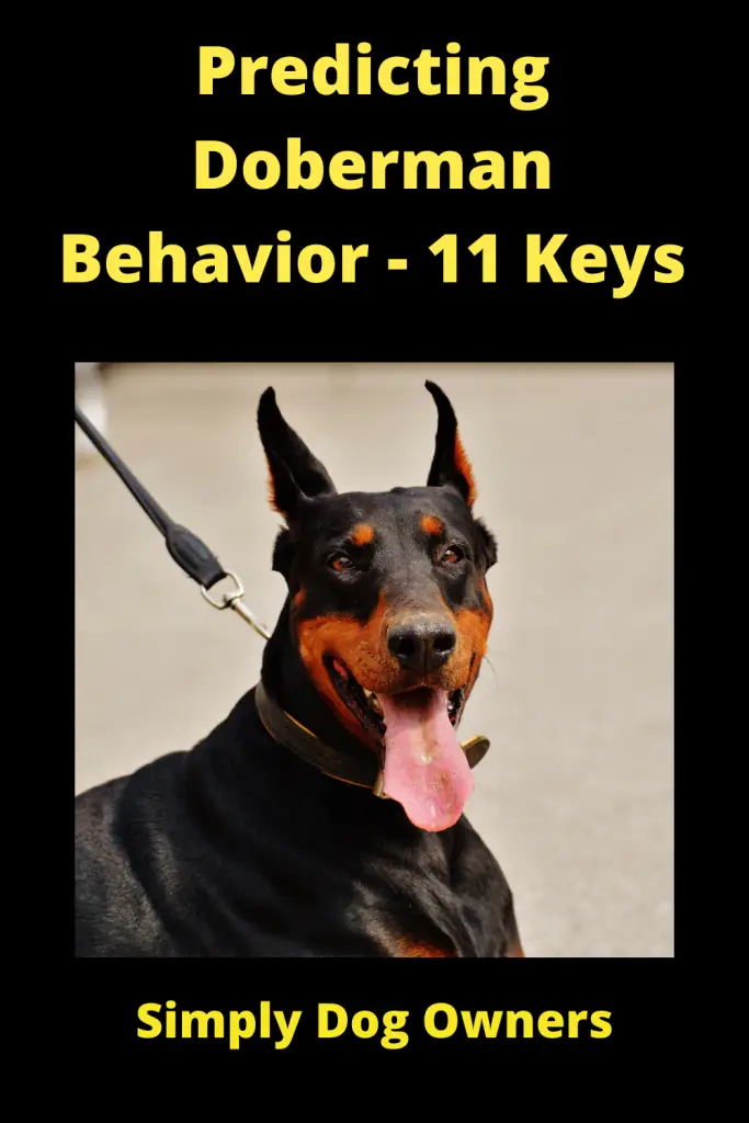 Predicting Doberman Behavior - 11 Keys